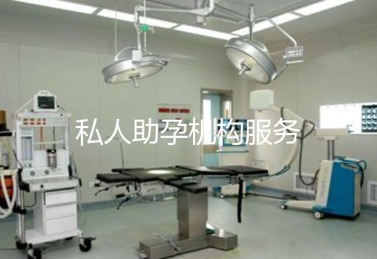 私人助孕机构服务
