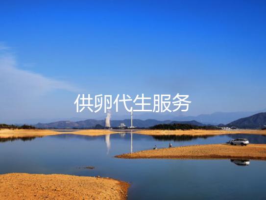 供卵代生服务
