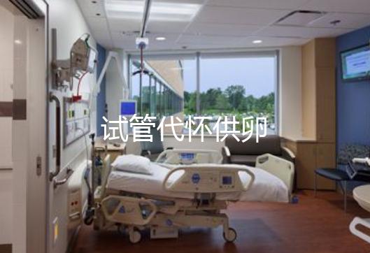试管代怀供卵